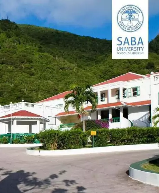 Saba University Desktop
